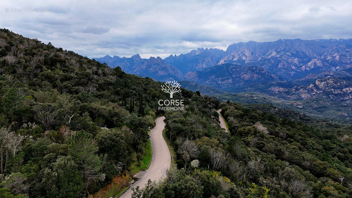 Terrain à SARI-SOLENZARA