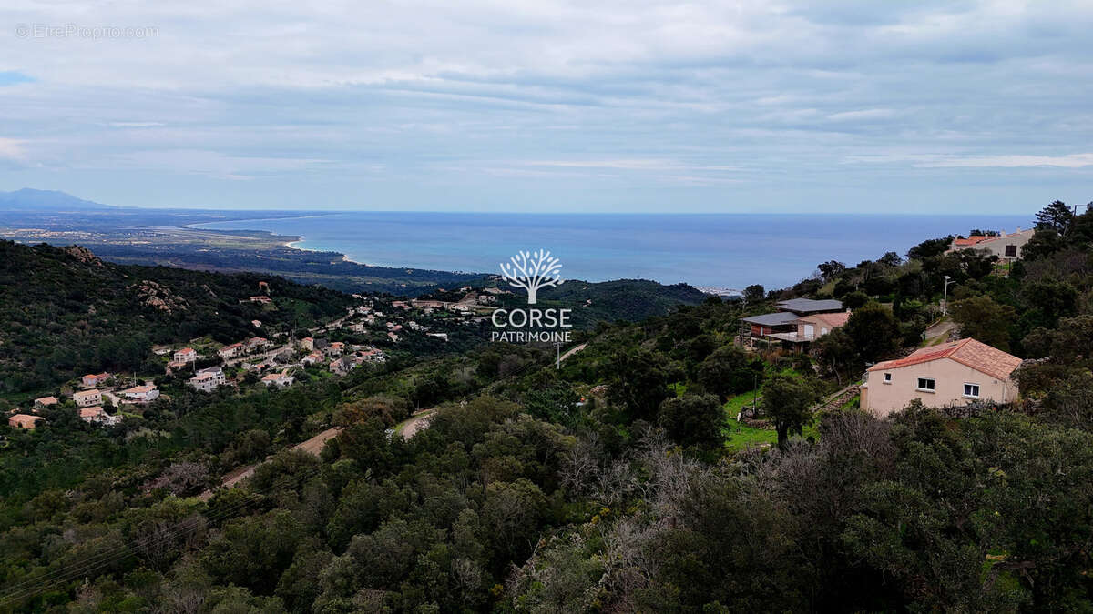 Terrain à SARI-SOLENZARA