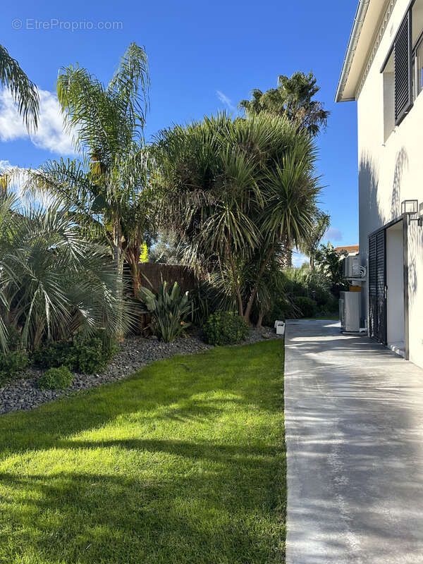 Maison à VILLELONGUE-DE-LA-SALANQUE