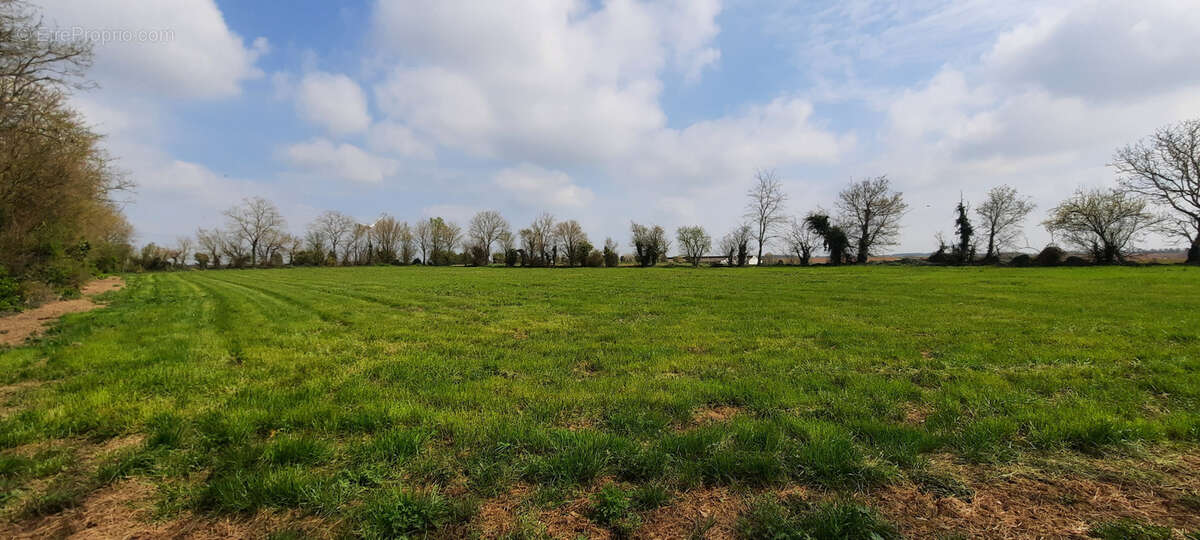 Maison à MOUZEUIL-SAINT-MARTIN