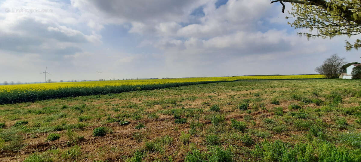Maison à MOUZEUIL-SAINT-MARTIN