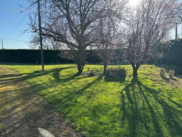 Maison à SAINTE-HERMINE