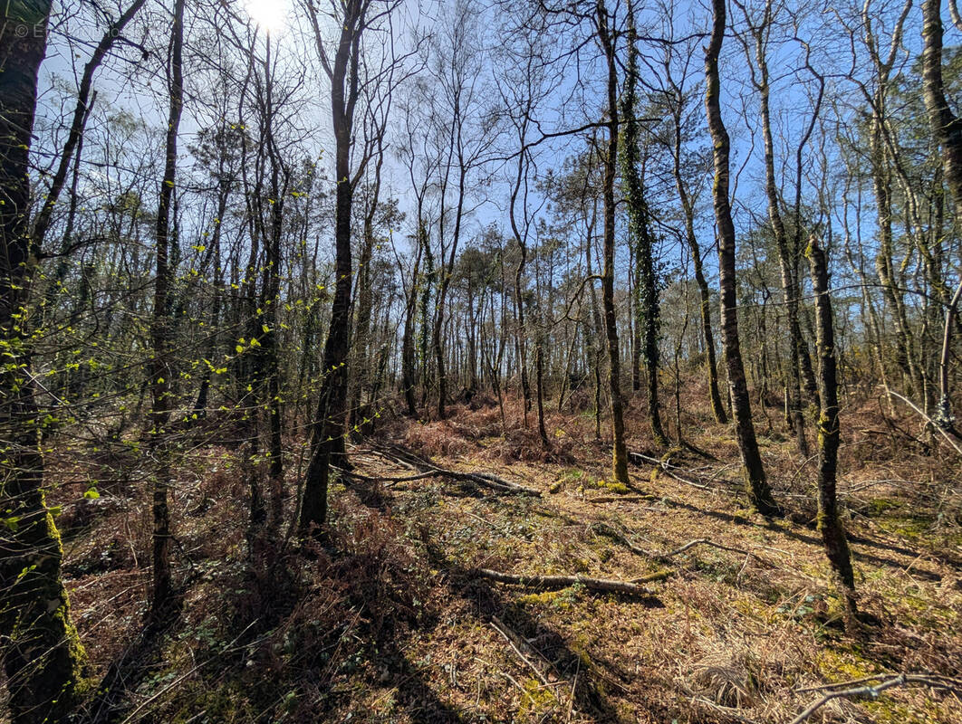 Terrain à CAMPENEAC