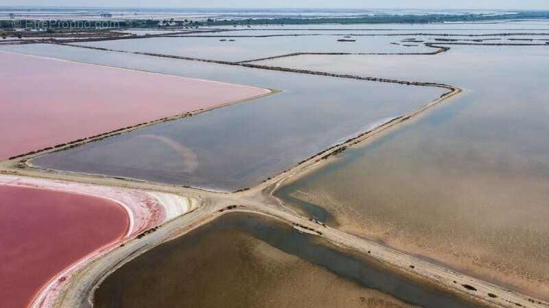 Commerce à AIGUES-MORTES