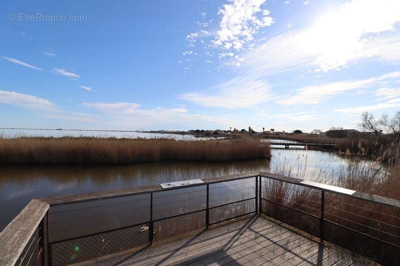 Commerce à AIGUES-MORTES