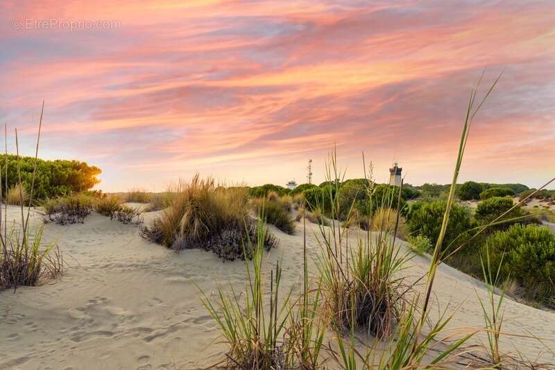 Commerce à AIGUES-MORTES
