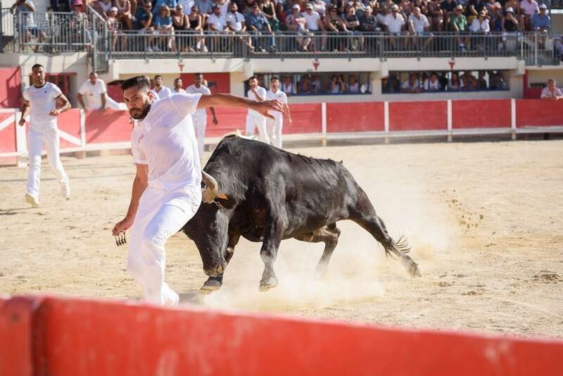 Commerce à AIGUES-MORTES