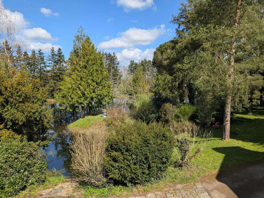 Photo 5 - Maison à PONTCHATEAU