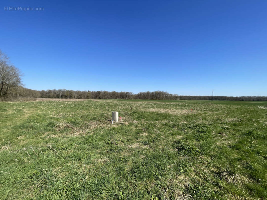 Terrain à REUILLY