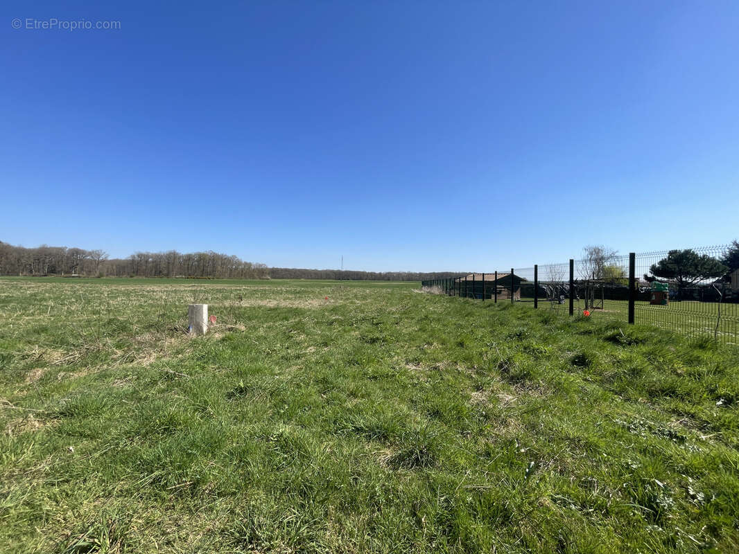 Terrain à REUILLY
