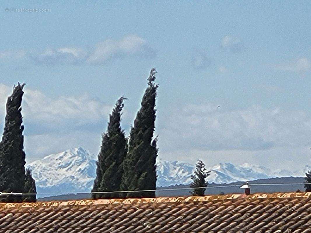 Maison à CARCASSONNE