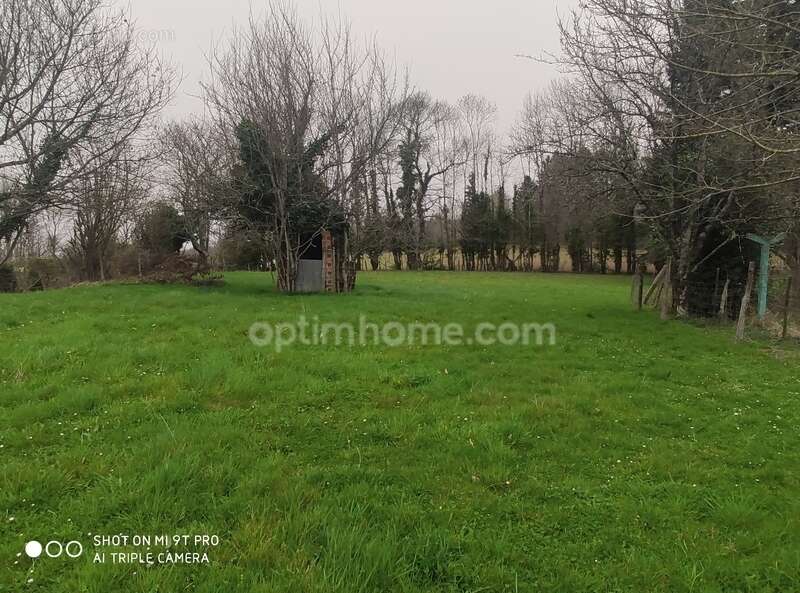 Terrain à MAZEROLLES