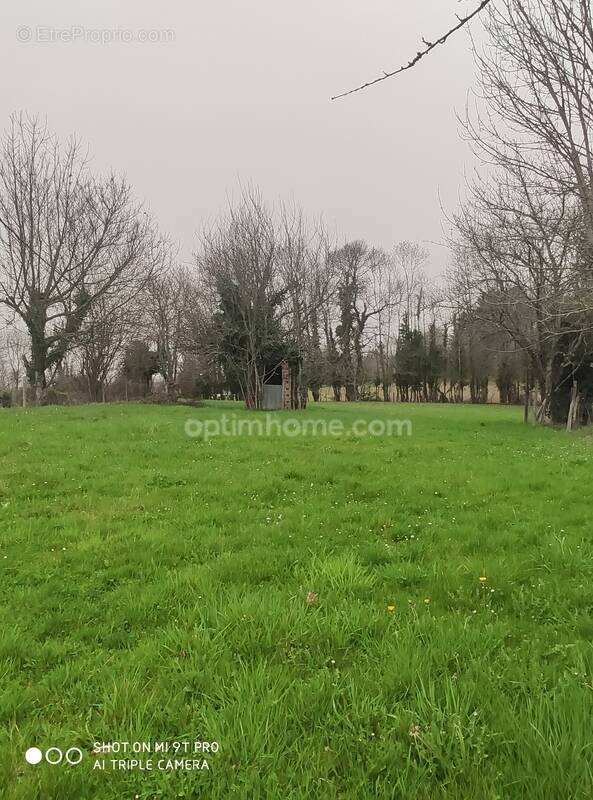 Terrain à MAZEROLLES