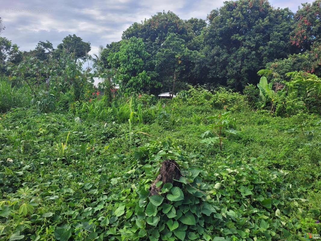 Terrain à SAINT-ANDRE