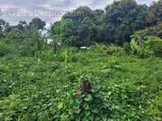 Terrain à SAINT-ANDRE