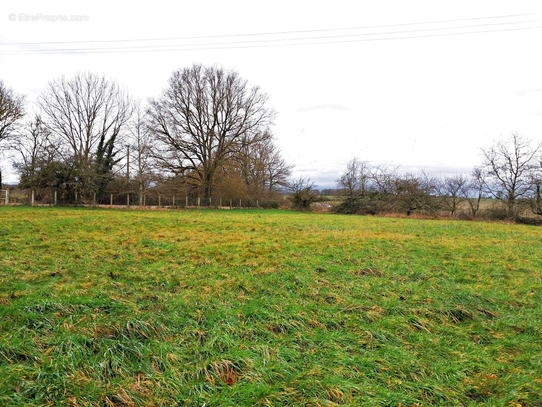 Maison à BEAULIEU-SUR-LOIRE