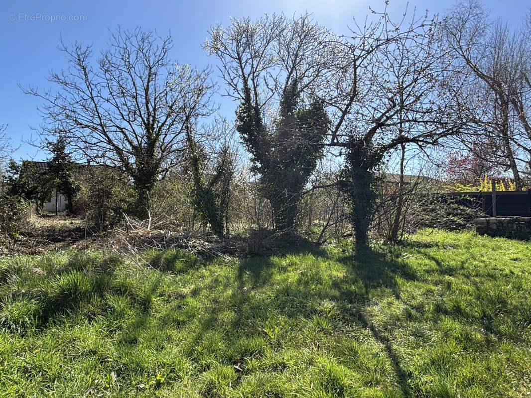 Terrain à LA FERTE-SAINT-AUBIN