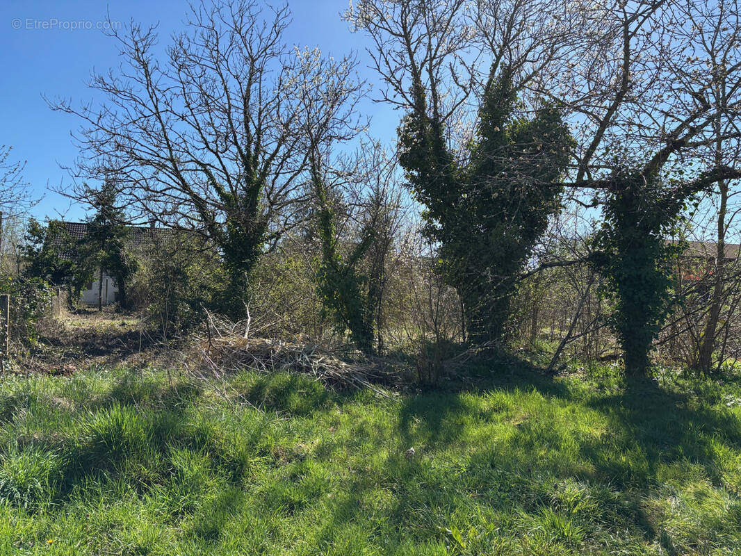 Terrain à LA FERTE-SAINT-AUBIN
