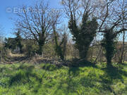 Terrain à LA FERTE-SAINT-AUBIN