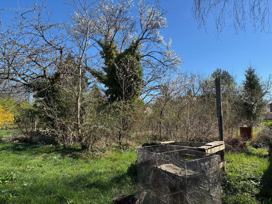 Terrain à LA FERTE-SAINT-AUBIN