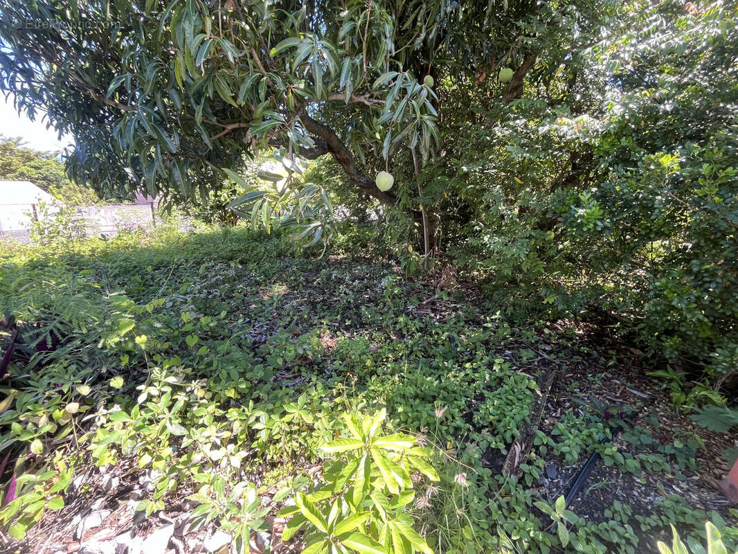 Maison à LA POSSESSION