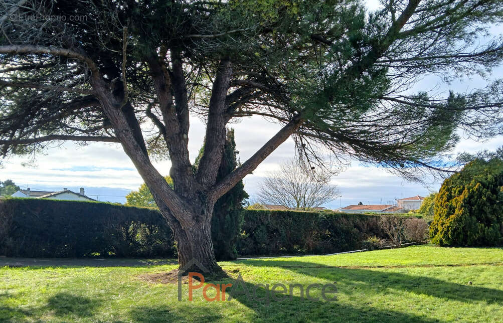 Maison à SAINT-PALAIS-SUR-MER