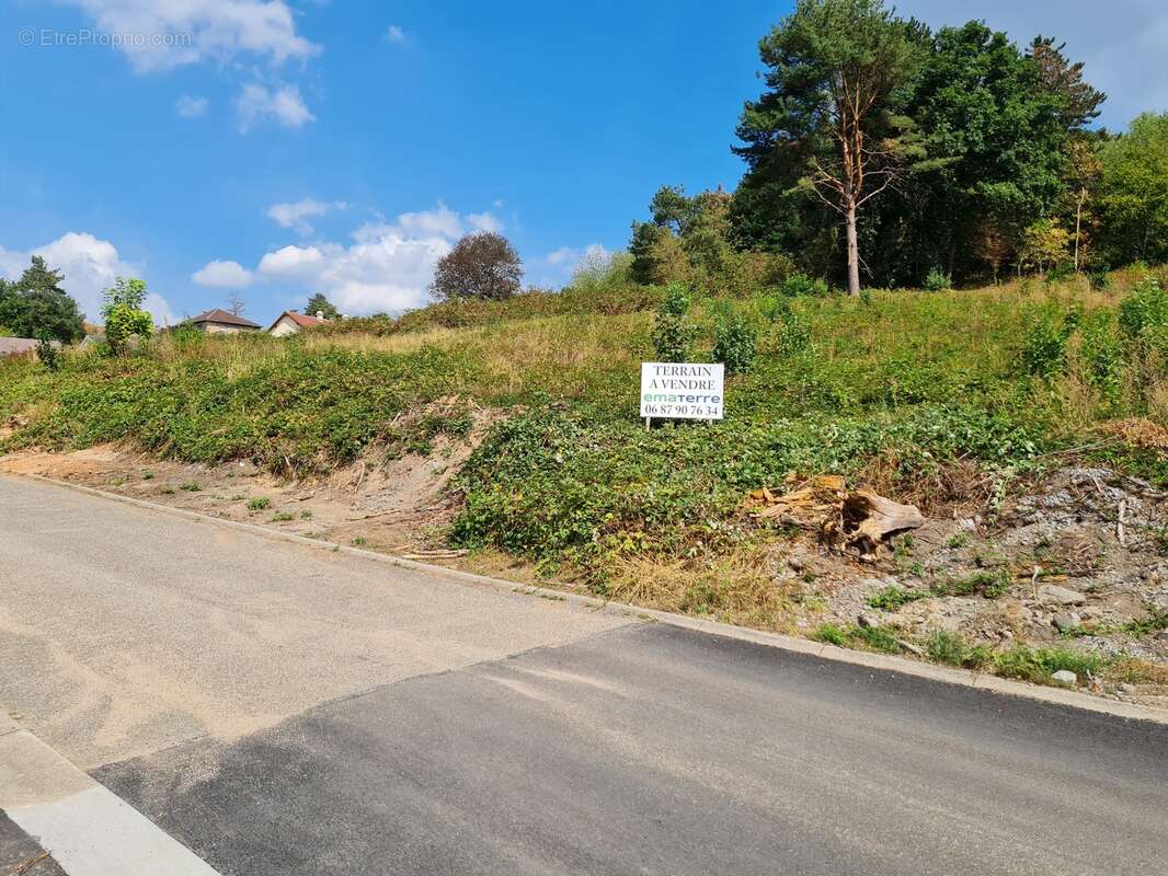 Terrain à PETITE-ROSSELLE