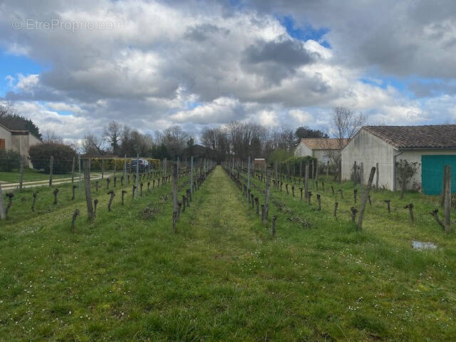 Terrain à PERISSAC
