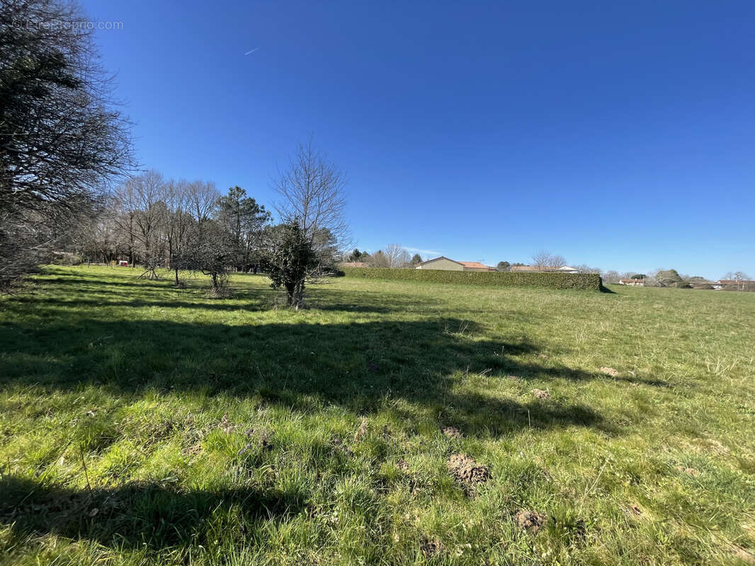 Terrain à SAINTE-MARIE-DE-CHIGNAC