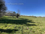 Terrain à SAINTE-MARIE-DE-CHIGNAC