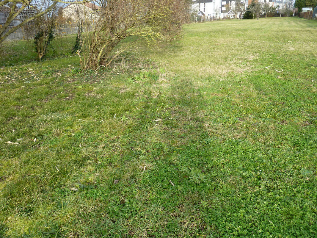 Terrain à MONTMORILLON