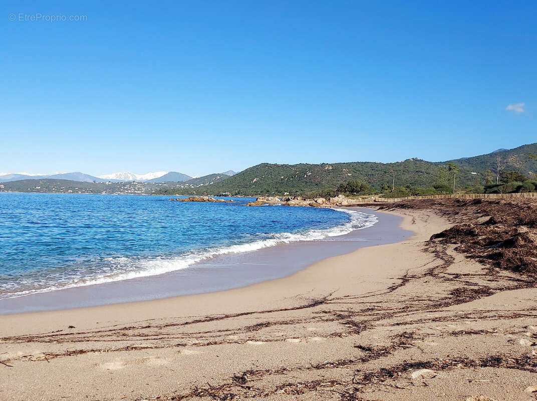 Maison à PIETROSELLA