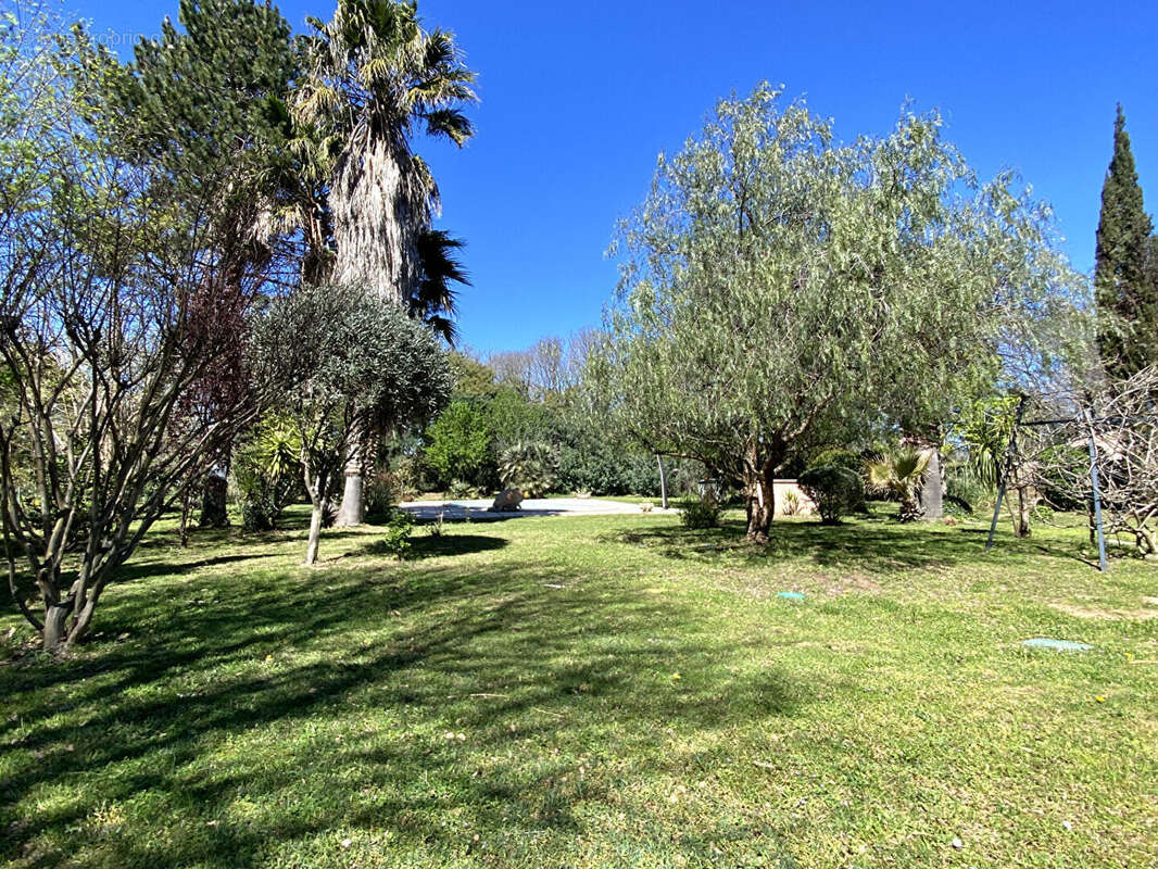 Maison à MONTESQUIEU-DES-ALBERES