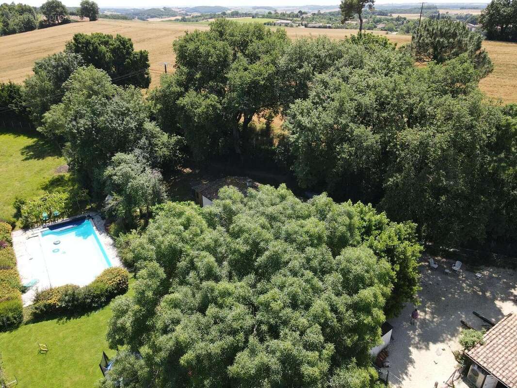 djifly202506171325086451750159527887photo - Maison à CASTERA-VERDUZAN