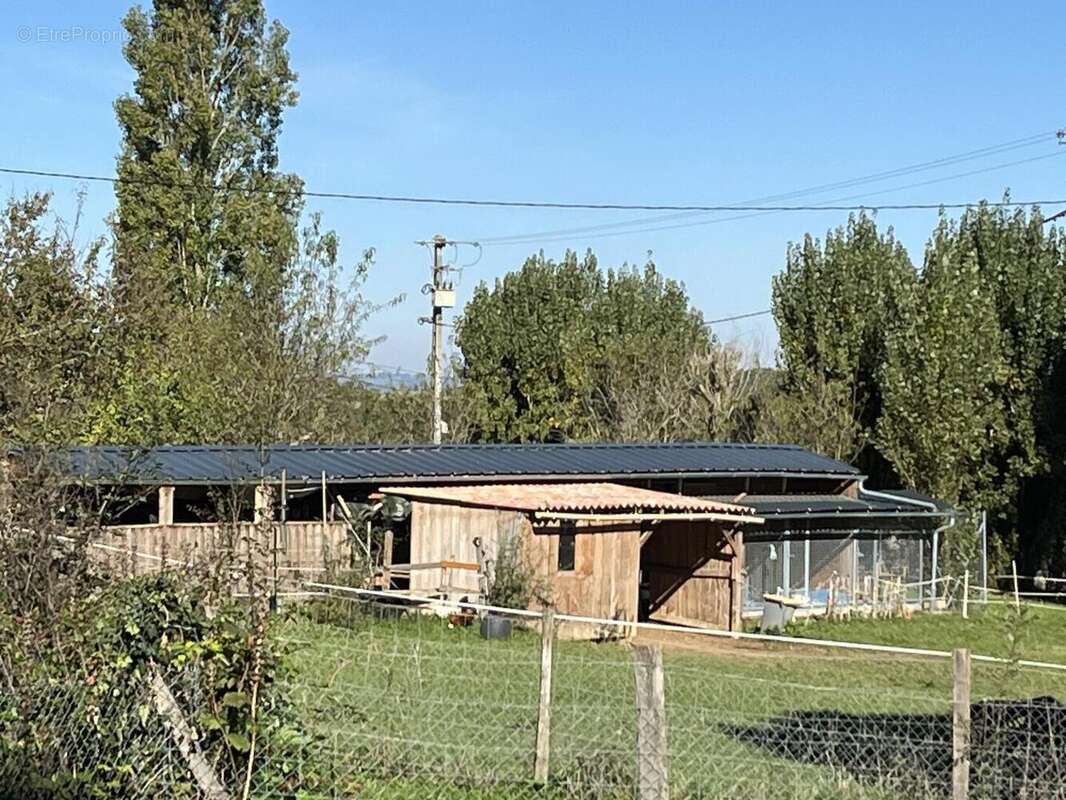 IMG0101 - Maison à CASTERA-VERDUZAN