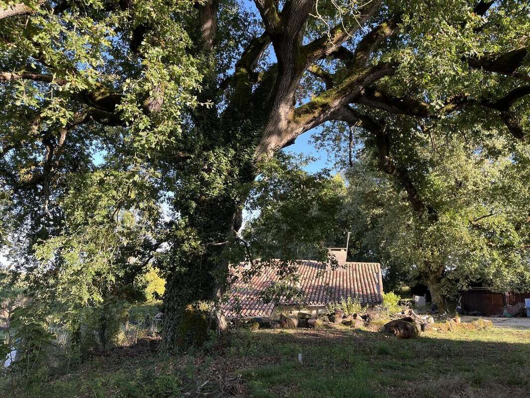 IMG0213 - Maison à CASTERA-VERDUZAN