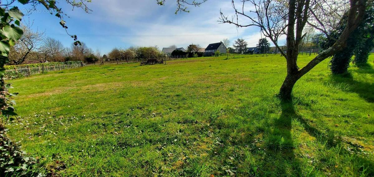 Photo 1 - Terrain à CIVRAY-DE-TOURAINE