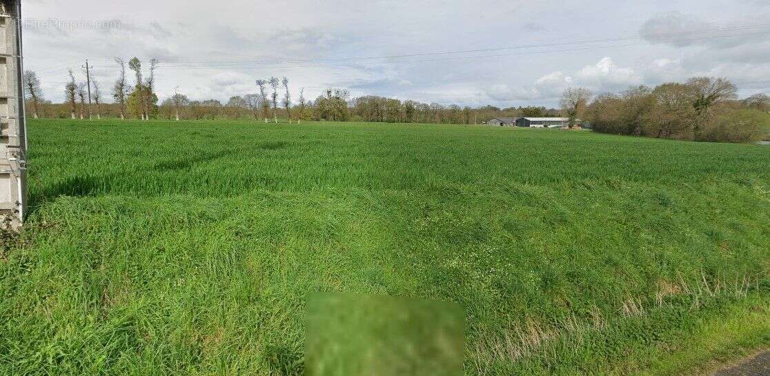 Terrain à SAINT-M&#039;HERVON