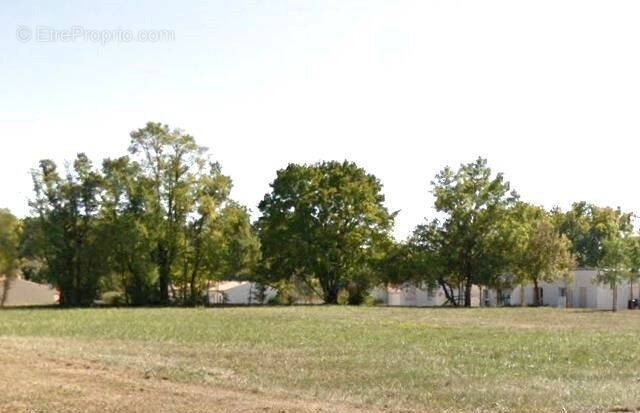 Terrain à BUSSAC-SUR-CHARENTE