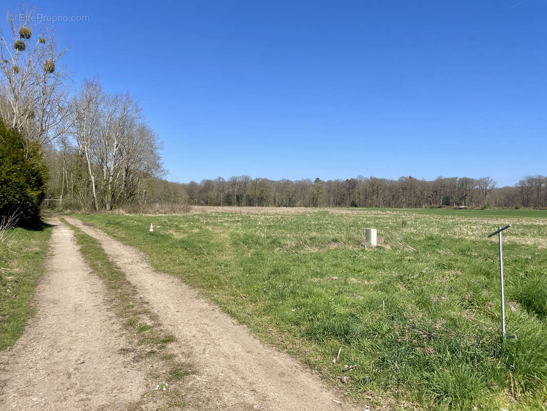 Terrain à REUILLY