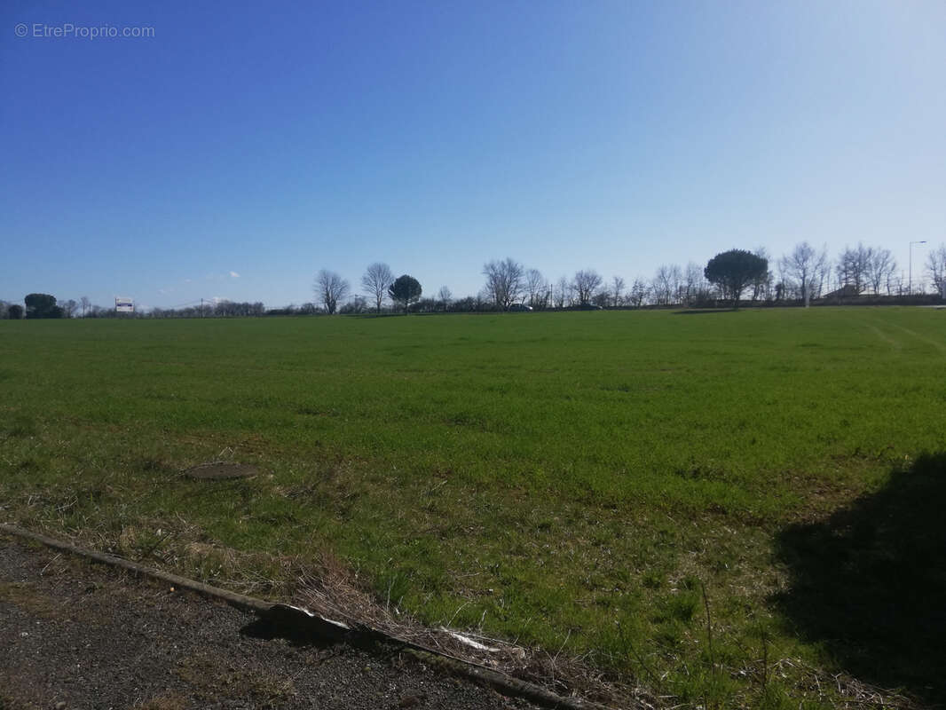 Terrain à PAMPELONNE