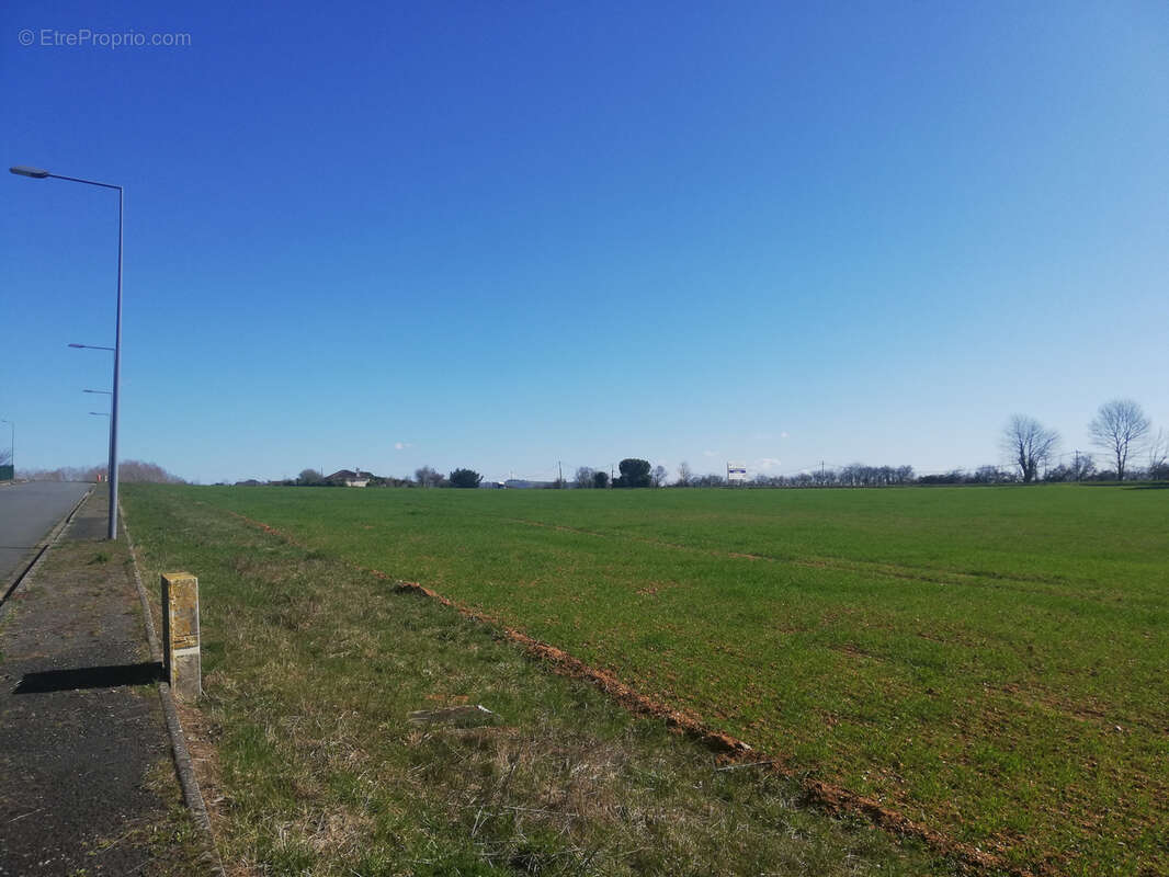 Terrain à PAMPELONNE