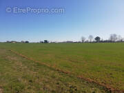 Terrain à PAMPELONNE