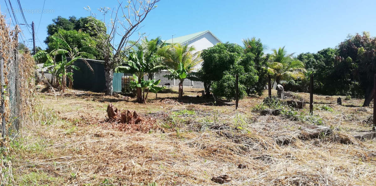 Terrain à CAPESTERRE-BELLE-EAU