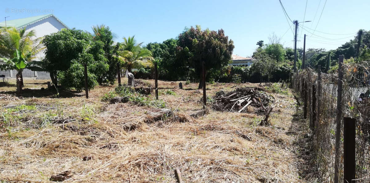 Terrain à CAPESTERRE-BELLE-EAU