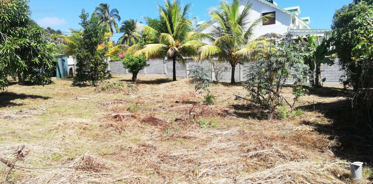 Terrain à CAPESTERRE-BELLE-EAU