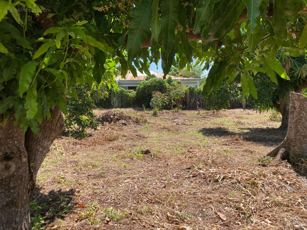Terrain à CAPESTERRE-BELLE-EAU