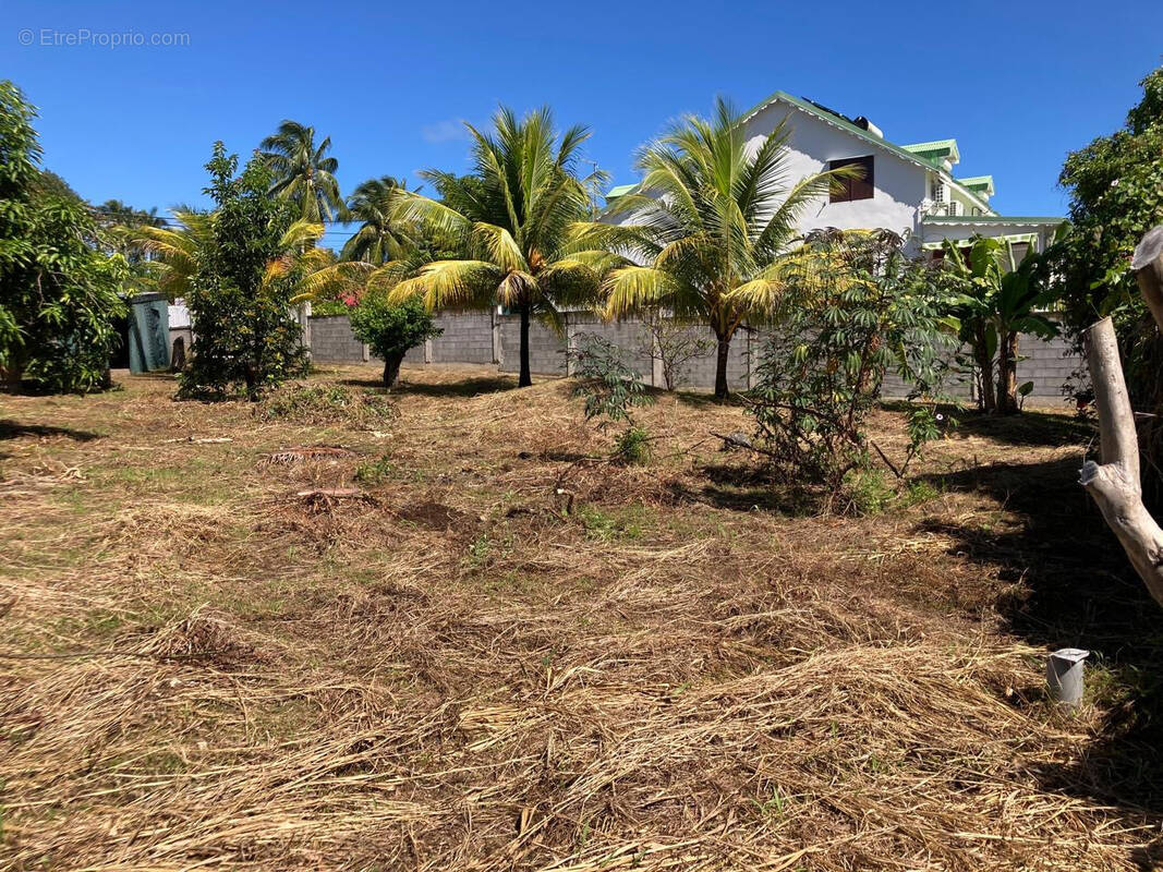 Terrain à CAPESTERRE-BELLE-EAU