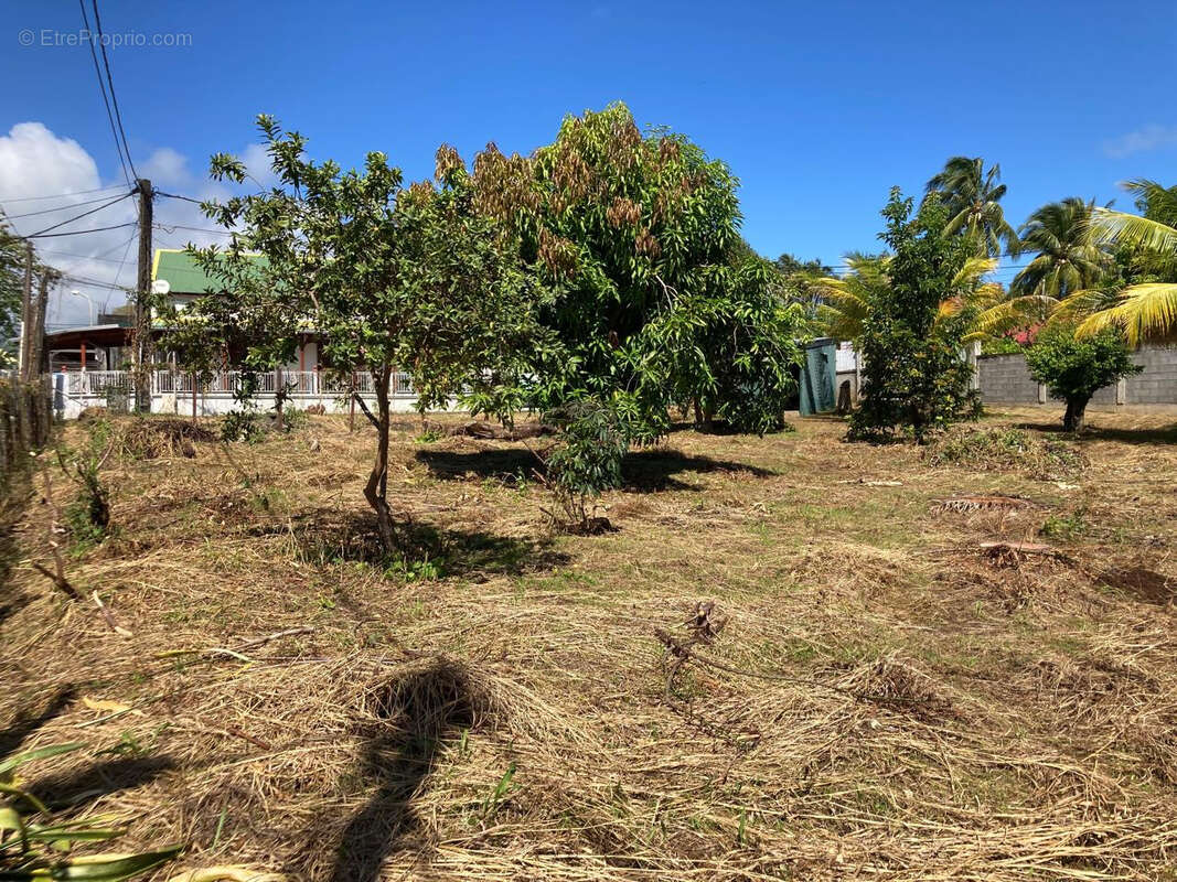 Terrain à CAPESTERRE-BELLE-EAU