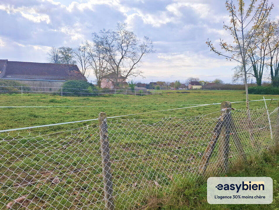 Terrain à HAGETAUBIN